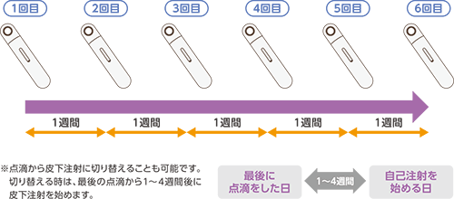 投与スケジュール（成人）